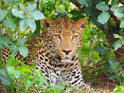 TANZANIA