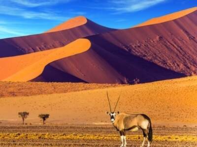 Ofertas Agencia - NAMIBIA